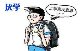 问题少年学校